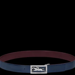 Online Delta Box Riem
