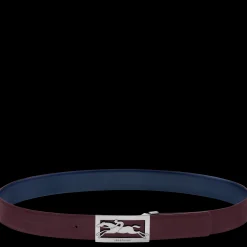 Online Delta Box Riem