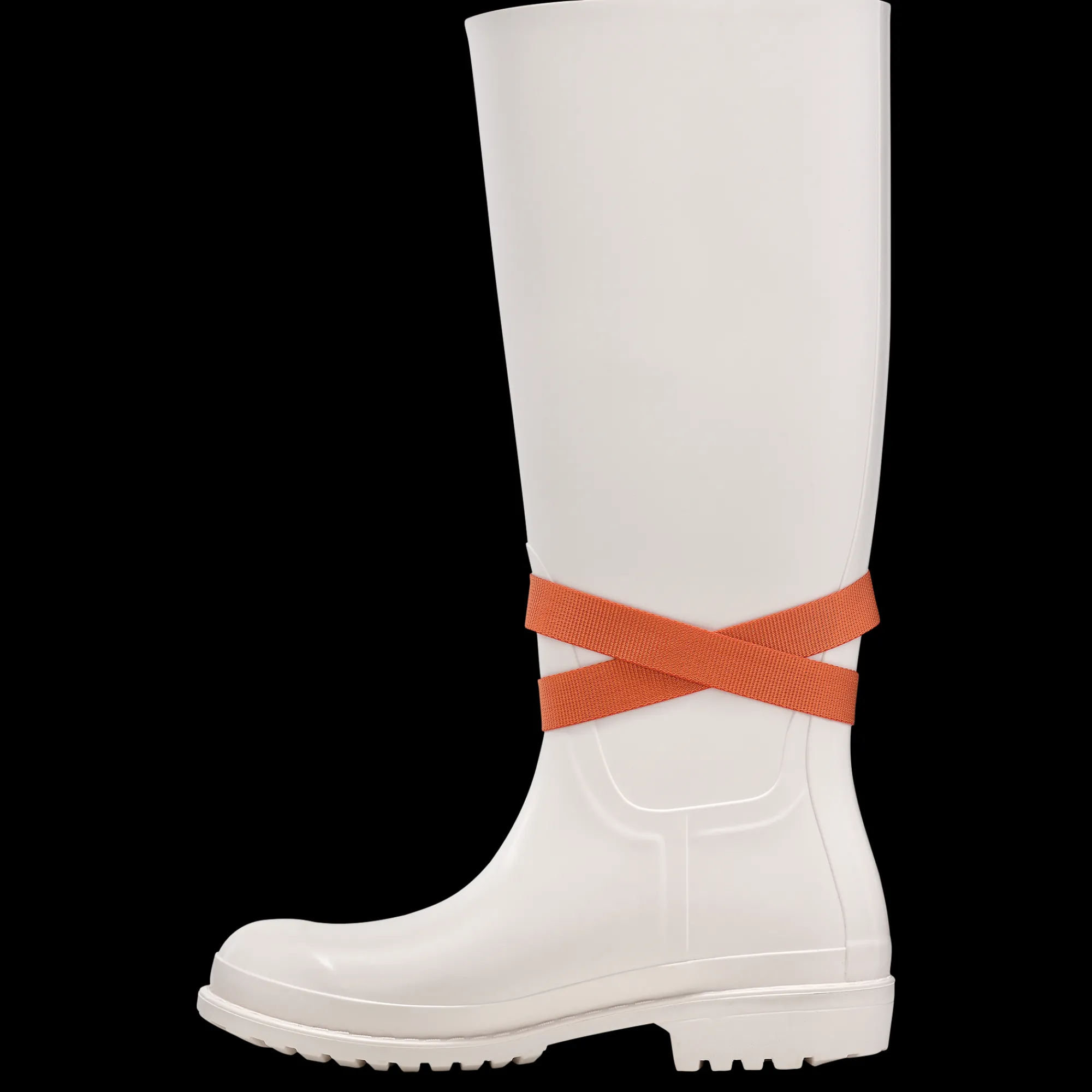 Online Schoenen En Accessoires Schoenriempjes